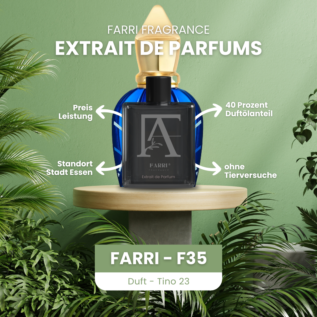 Farri F35 - Tino 23 (Inspiriert von Torino 23)