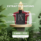 Farri F33 - Italicca (Inspiriert von Casamorati Italica)