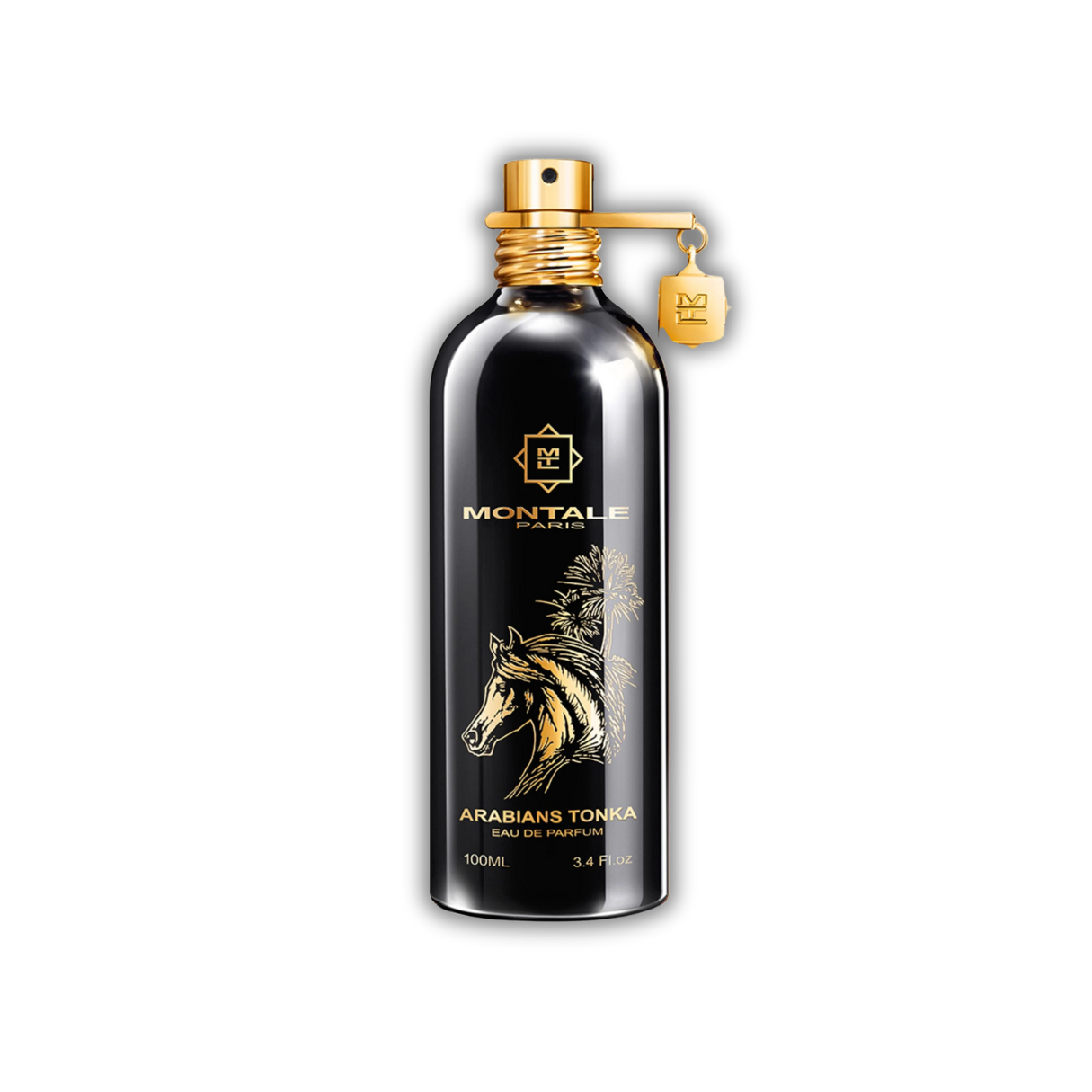 Montale Arabians Tonka - Abfüllung
